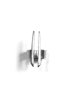 Spiculum ring