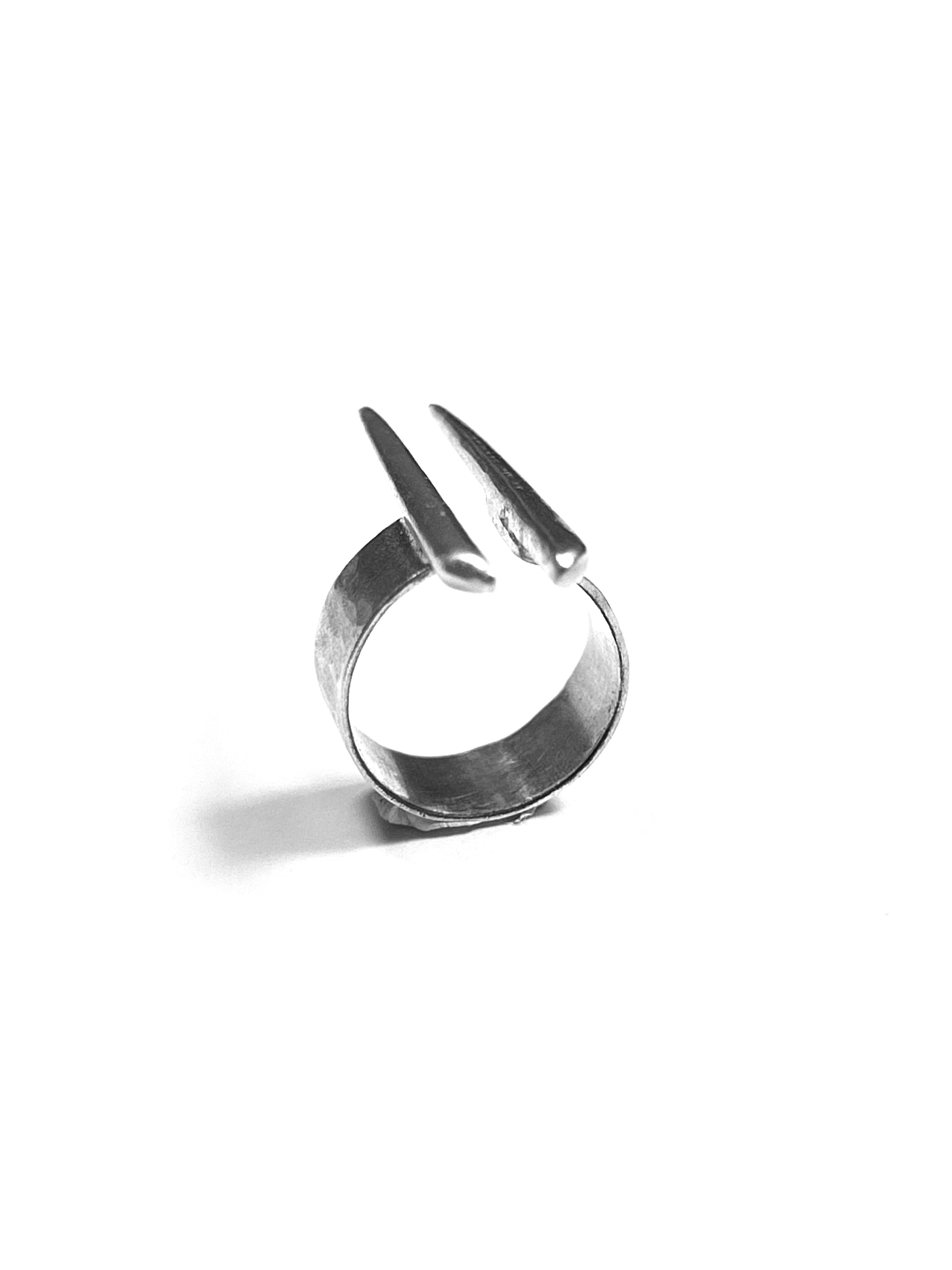 Spiculum ring