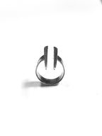 Spiculum ring