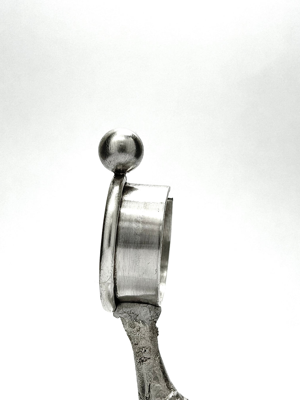 Sphaera anulus bague